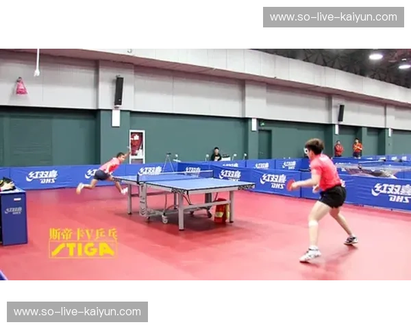 乒乓球排名：从数据看见激情与荣耀